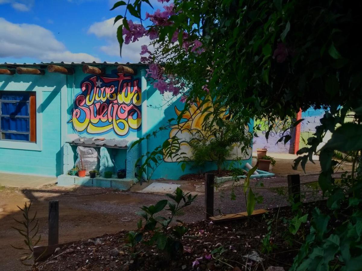 نزل ميناسفي Social-Club La Cueva المظهر الخارجي الصورة
