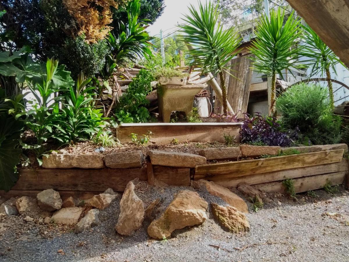نزل ميناسفي Social-Club La Cueva المظهر الخارجي الصورة